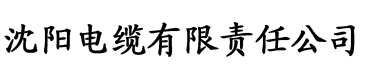 亚洲一区二区三区国产中文电缆厂logo